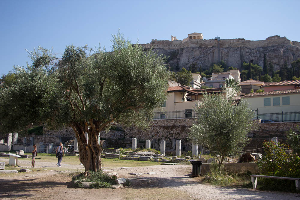 akropolis-reisebericht-2