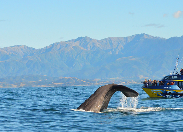 neuseeland-mit-kind-4