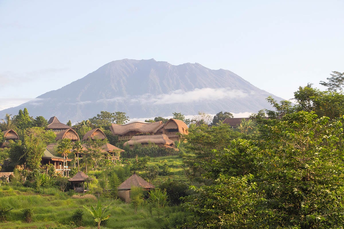 Fernreisen mit Kindern wohin? Beliebte Urlaubsziele für Familien – Bali, Reisfelder in Sidemen