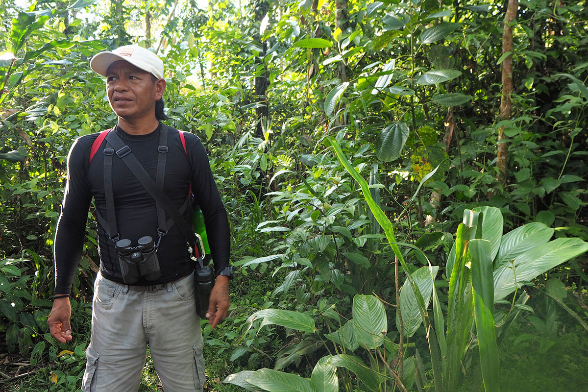 Unser Guide auf einer Regenwald-Tour in Ecuador