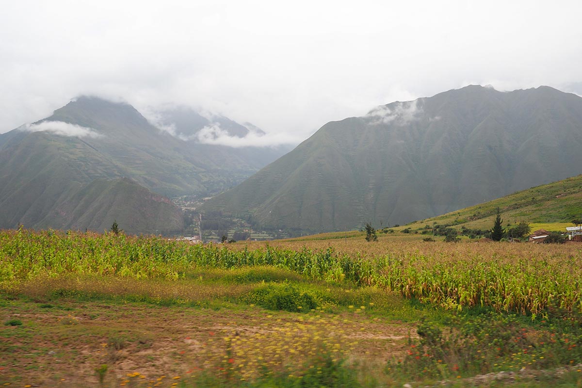 Üppig, grüne Landschaft im Heiligen Tal der Inka
