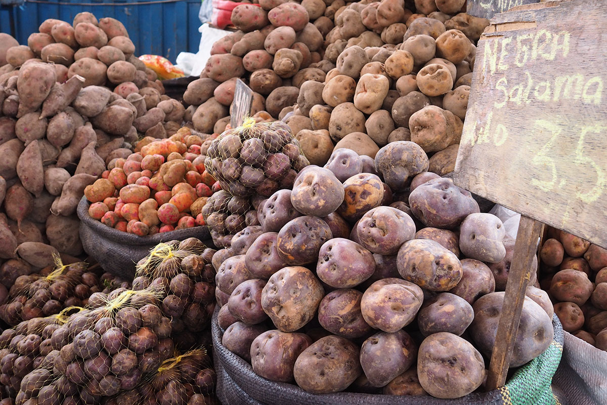 Peruanisch kochen – verschiedene Kartoffelsorten auf einem lokalen Markt