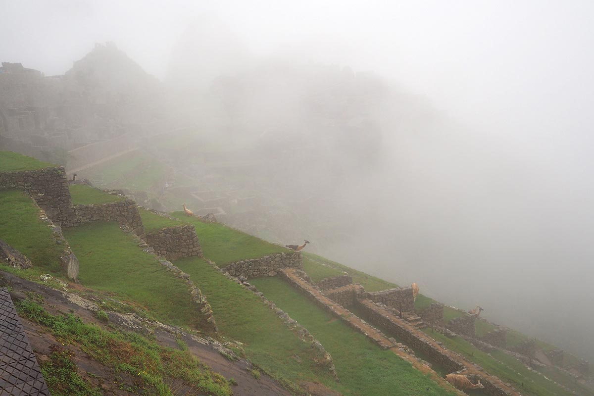 Tiefhängende Wolken in Machu Picchu während der Regenzeit